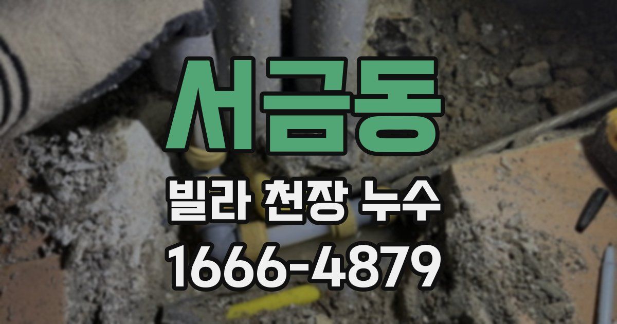 서금동 빌라 천장 누수