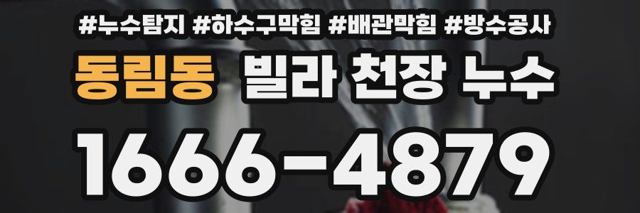 동림동 빌라 천장 누수