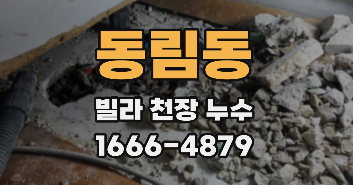 동림동 빌라 천장 누수