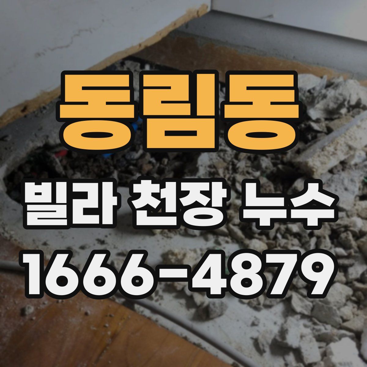 동림동 빌라 천장 누수