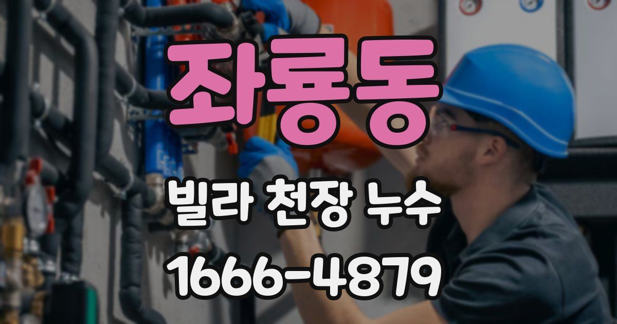 좌룡동 빌라 천장 누수