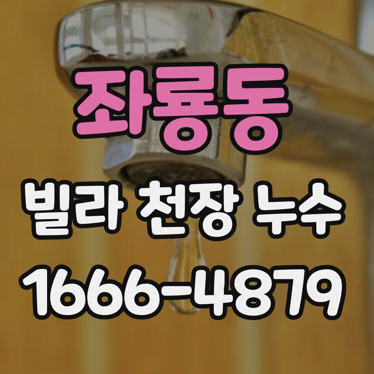 좌룡동 빌라 천장 누수