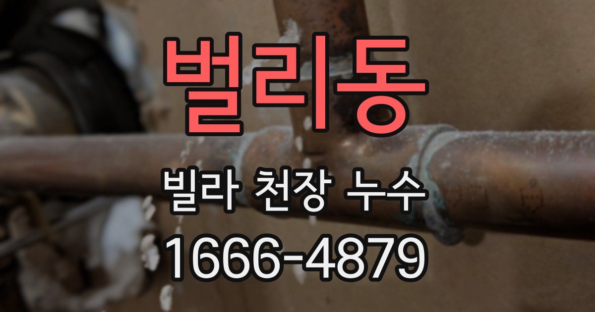 벌리동 빌라 천장 누수