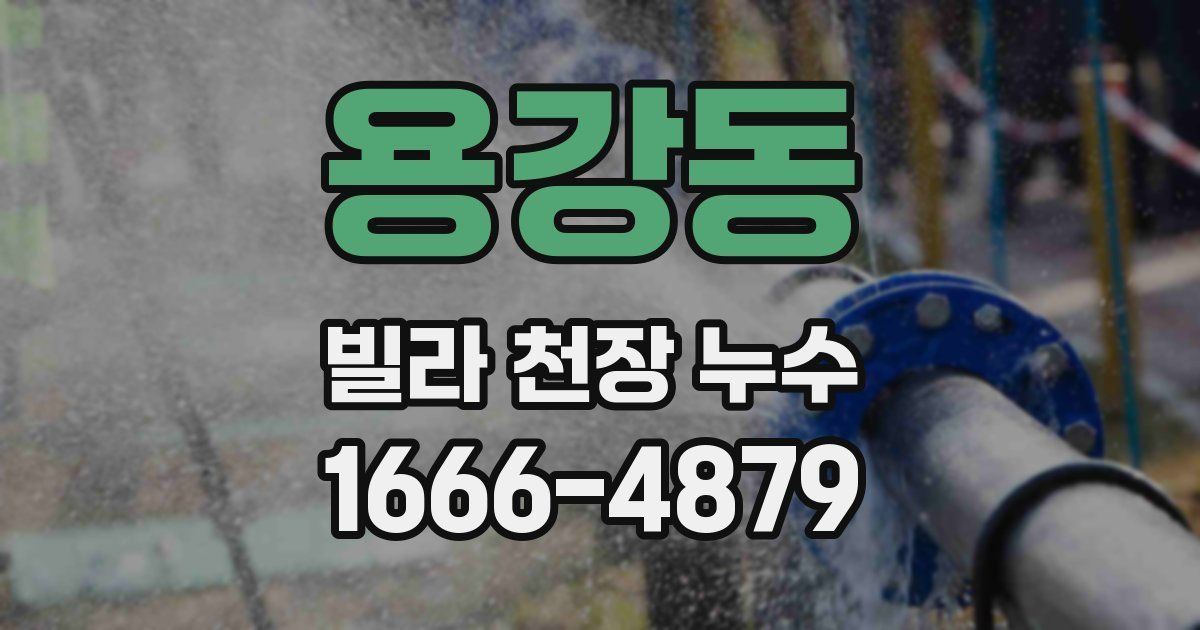 용강동 빌라 천장 누수