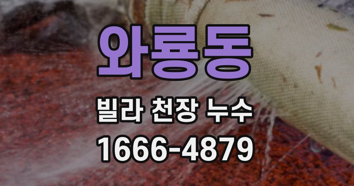 와룡동 빌라 천장 누수