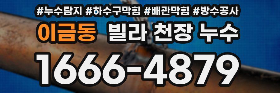 이금동 빌라 천장 누수