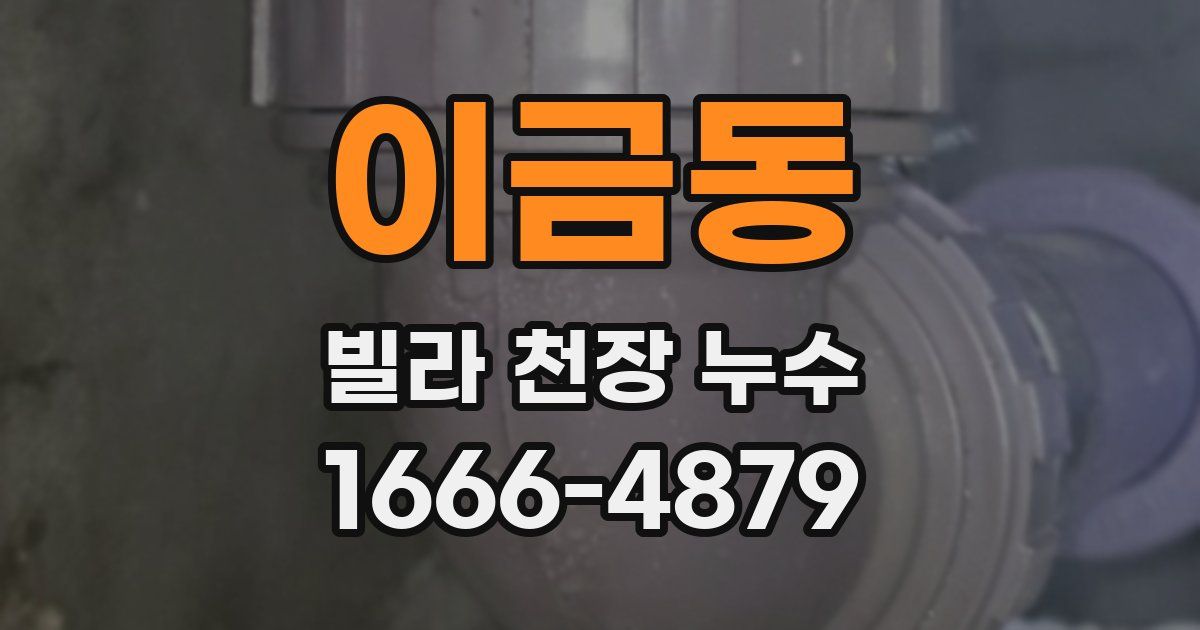 이금동 빌라 천장 누수