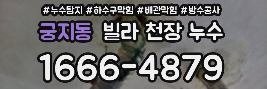 궁지동 빌라 천장 누수