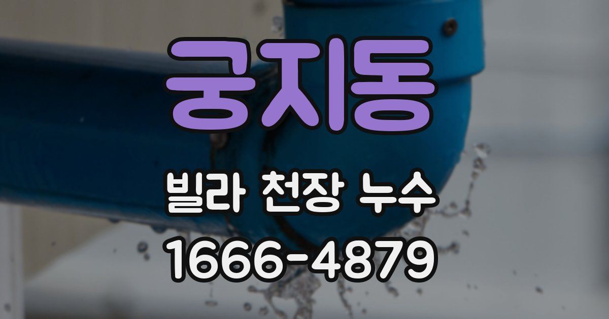 궁지동 빌라 천장 누수