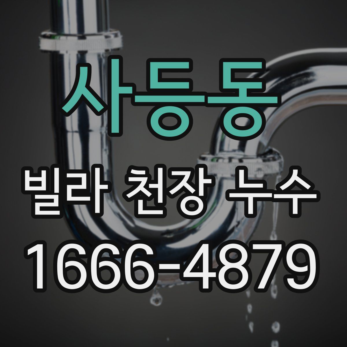 사등동 빌라 천장 누수