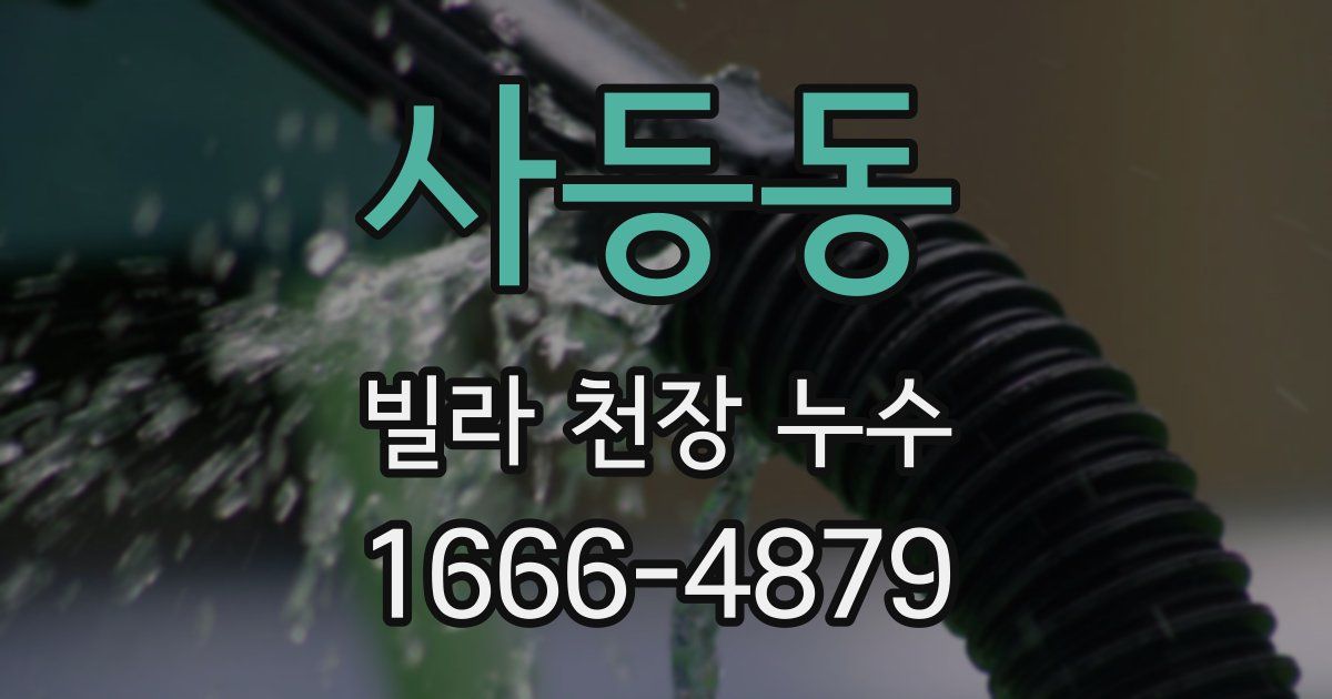사등동 빌라 천장 누수