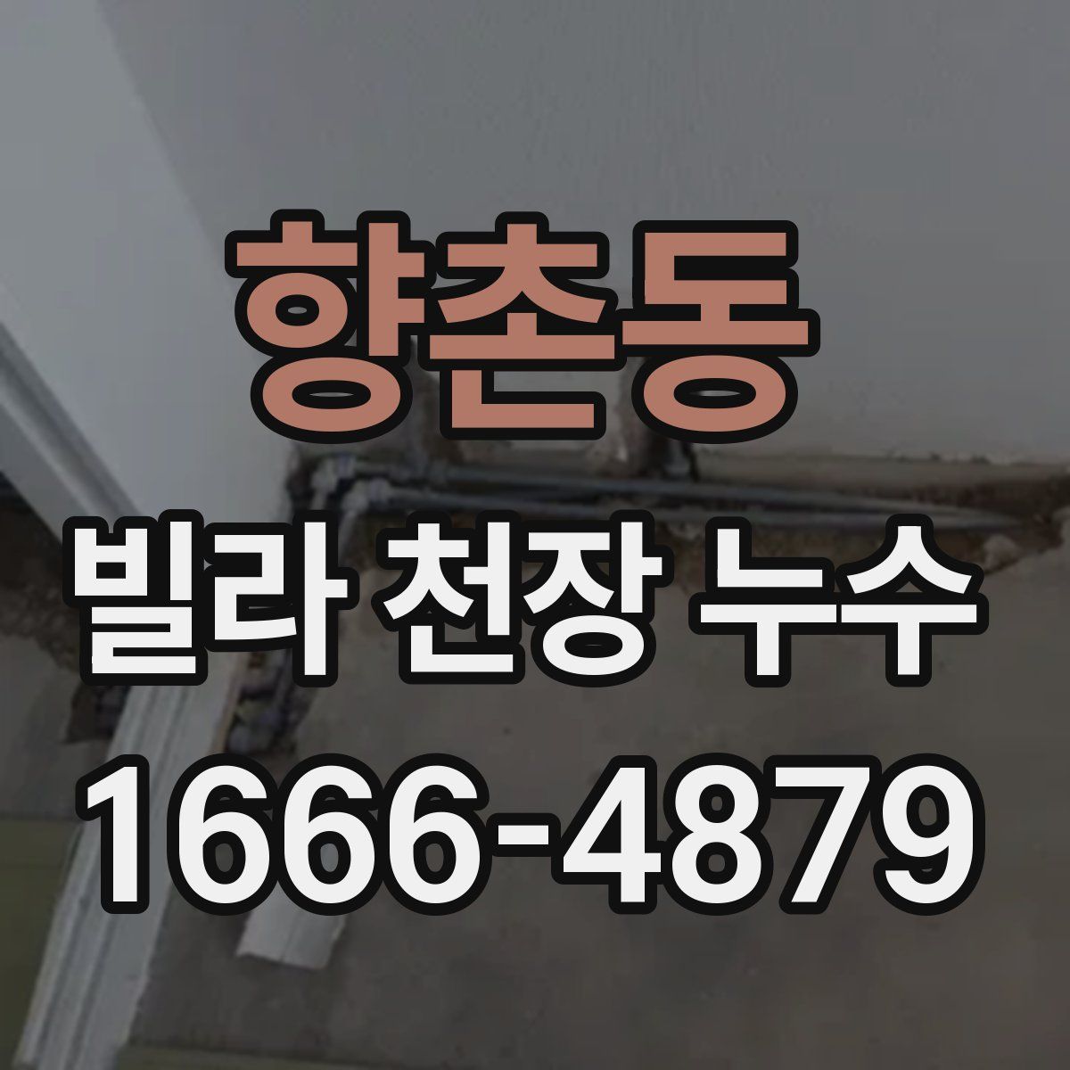 향촌동 빌라 천장 누수