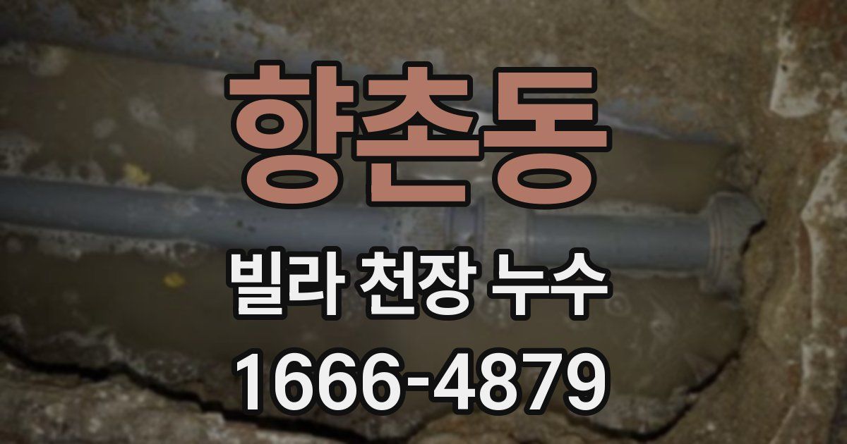 향촌동 빌라 천장 누수