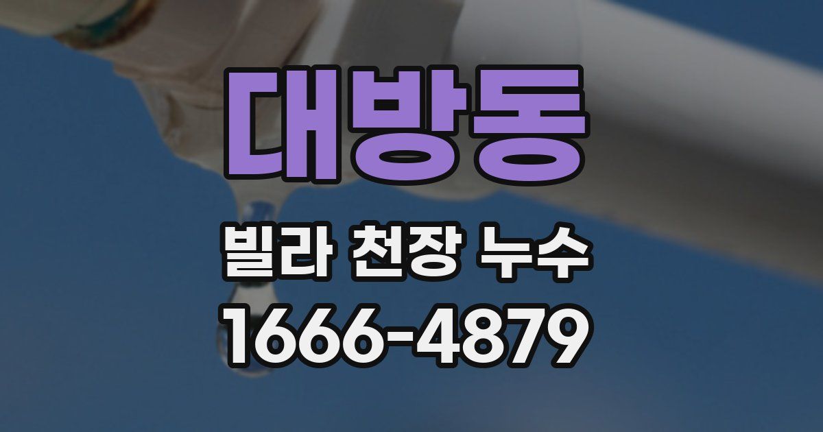 대방동 빌라 천장 누수