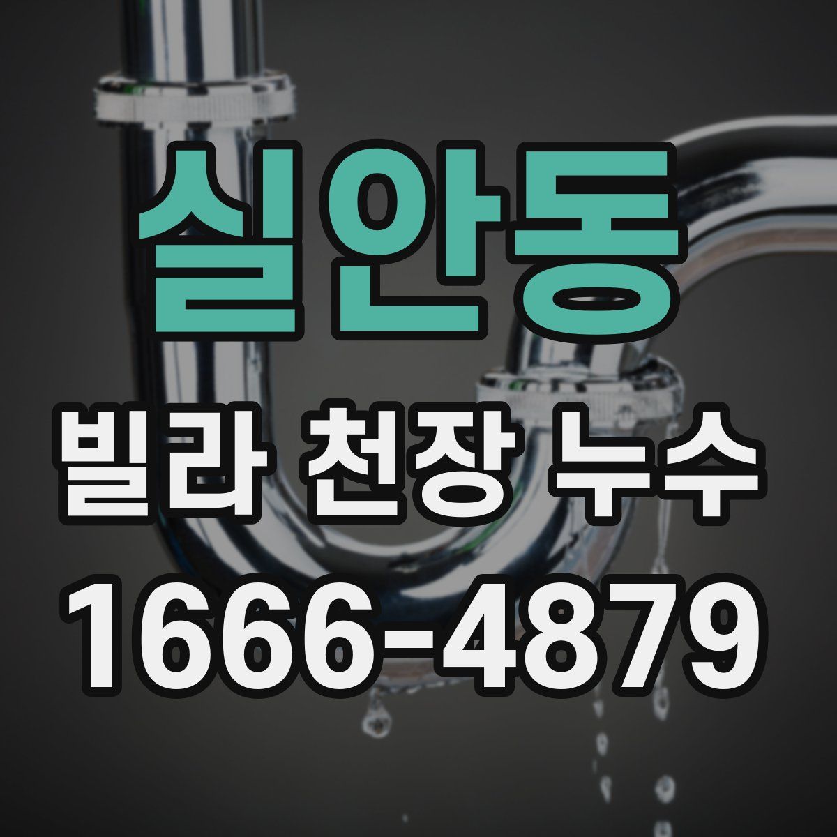 실안동 빌라 천장 누수