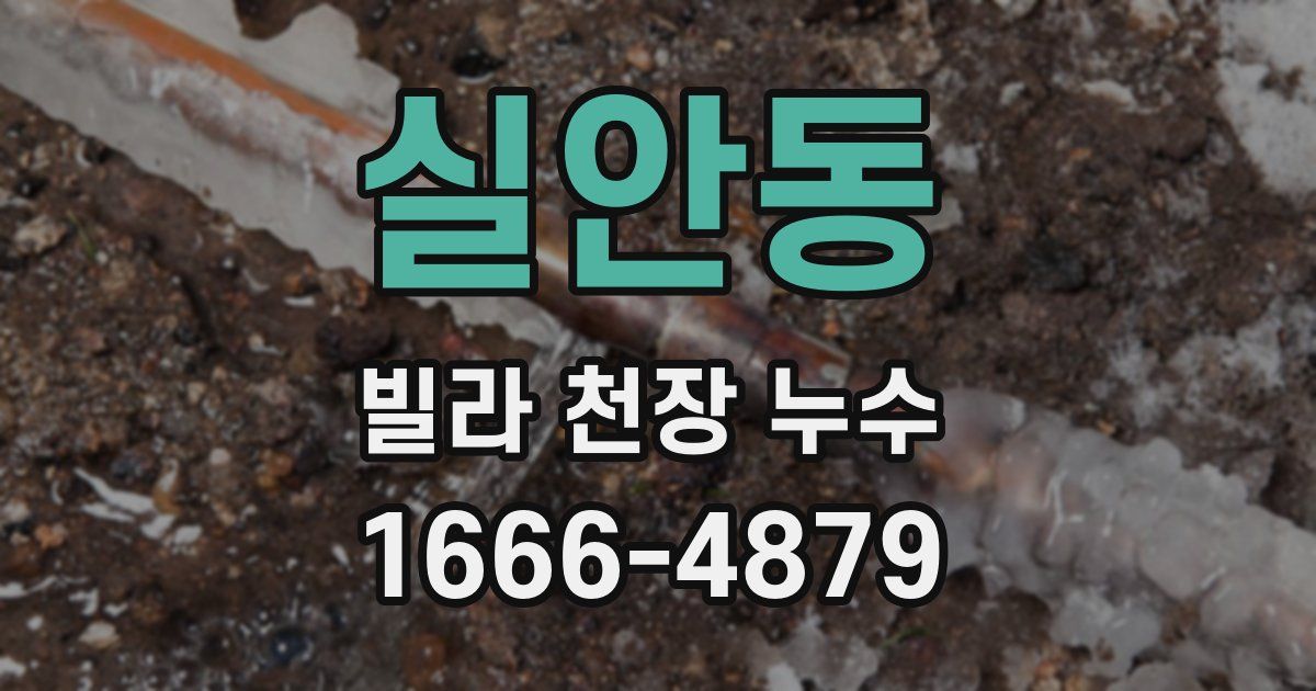 실안동 빌라 천장 누수