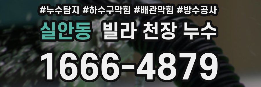 실안동 빌라 천장 누수