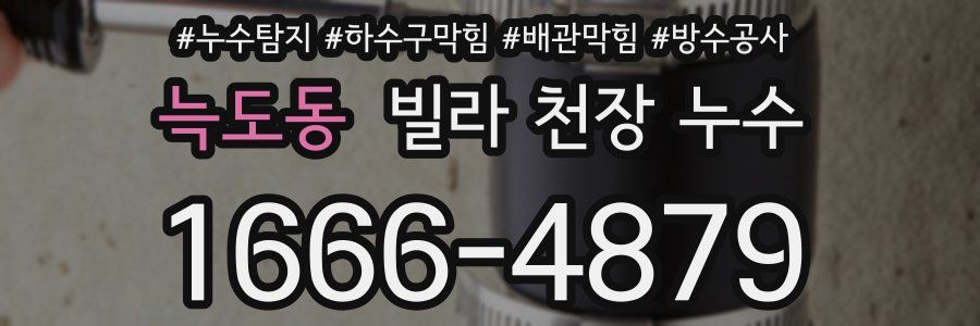 늑도동 빌라 천장 누수