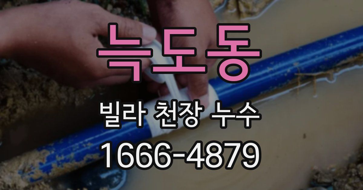 늑도동 빌라 천장 누수