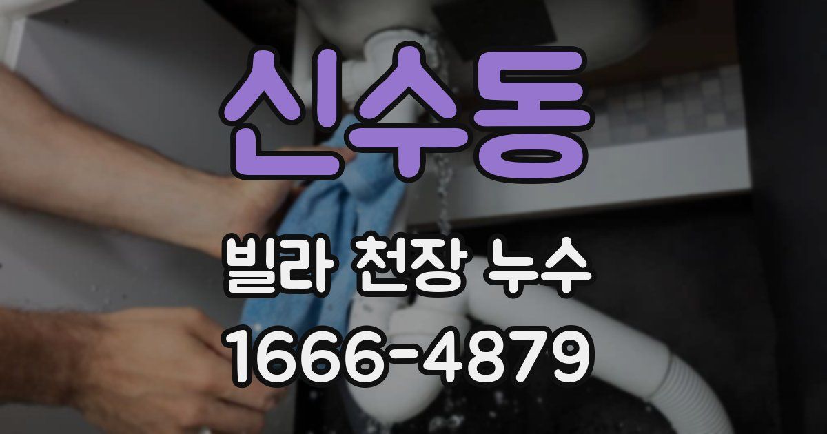 신수동 빌라 천장 누수