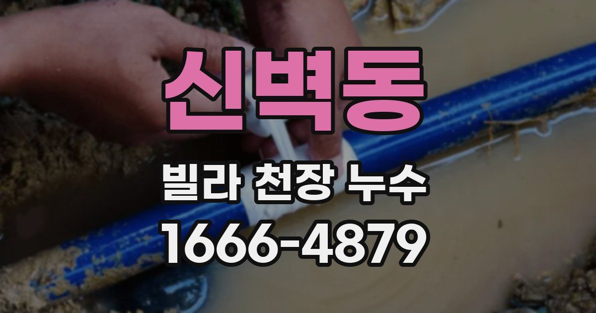 신벽동 빌라 천장 누수
