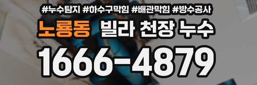 노룡동 빌라 천장 누수