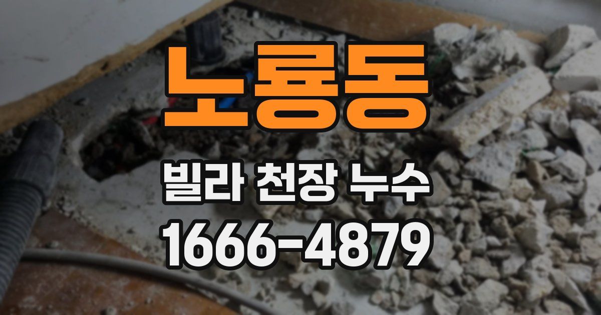 노룡동 빌라 천장 누수