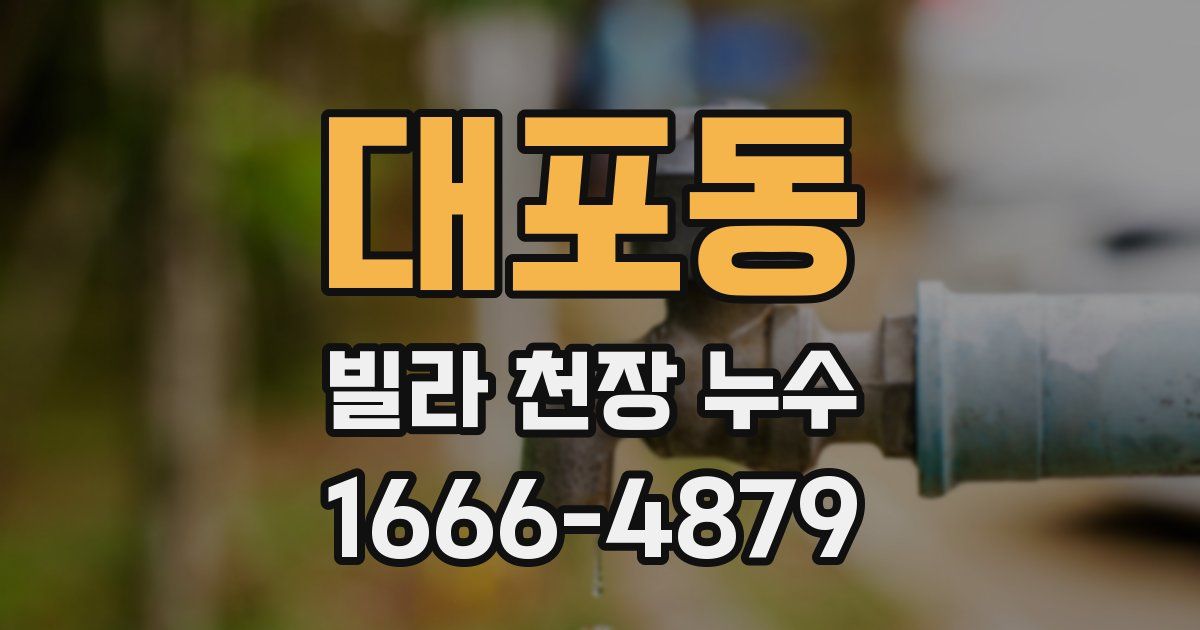 대포동 빌라 천장 누수