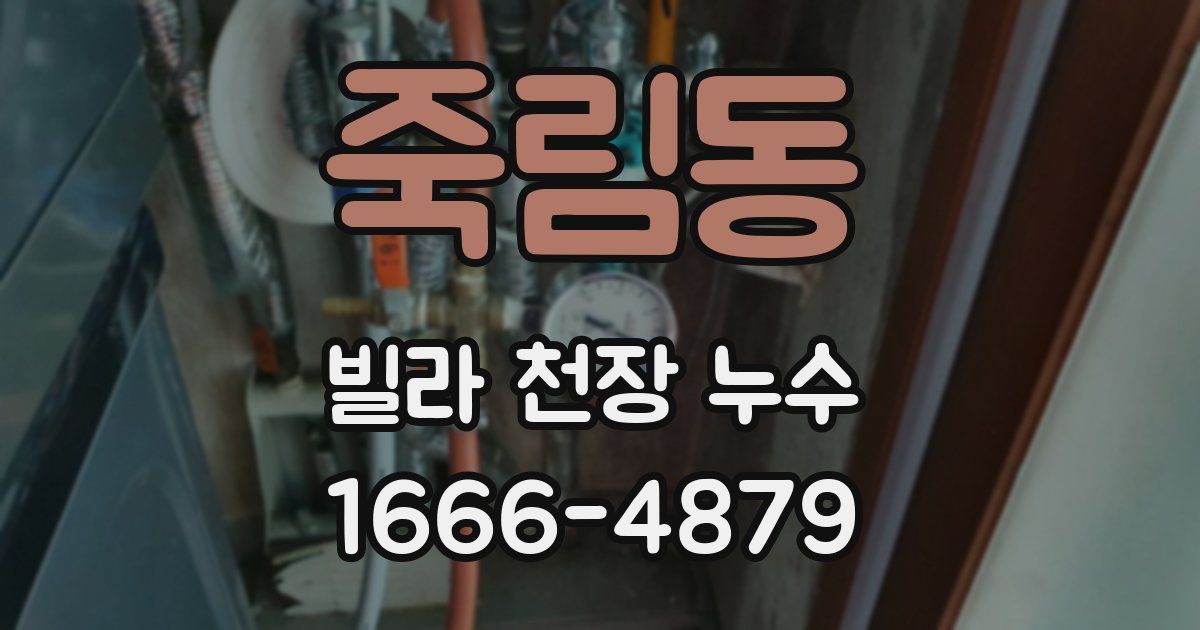 죽림동 빌라 천장 누수
