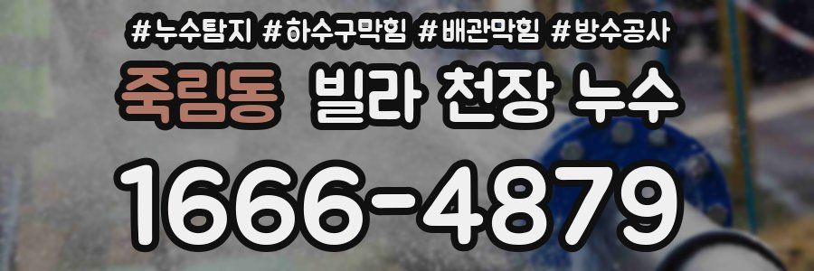 죽림동 빌라 천장 누수