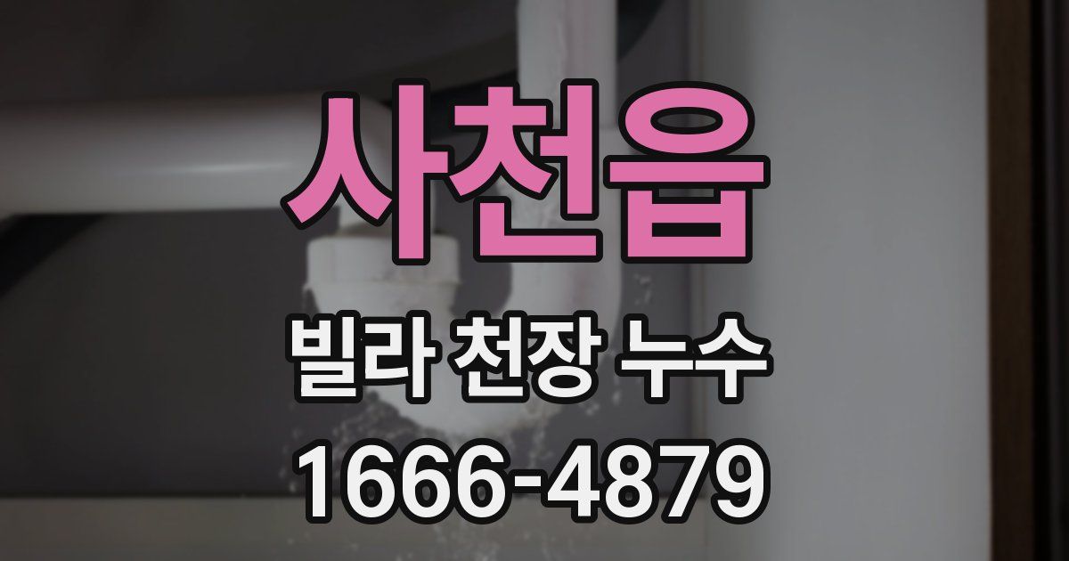 사천읍 빌라 천장 누수