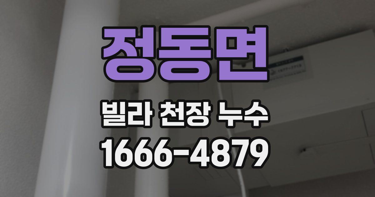 정동면 빌라 천장 누수
