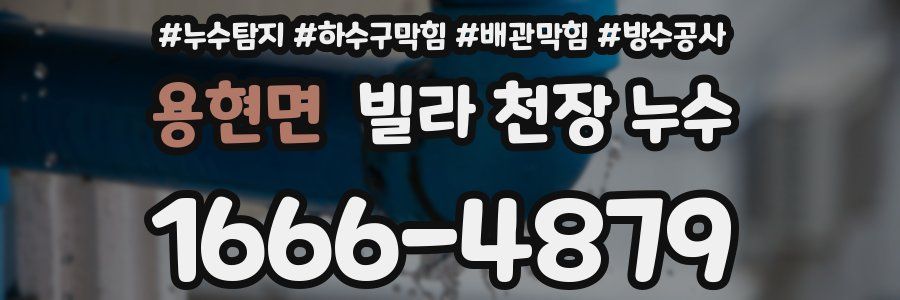 용현면 빌라 천장 누수