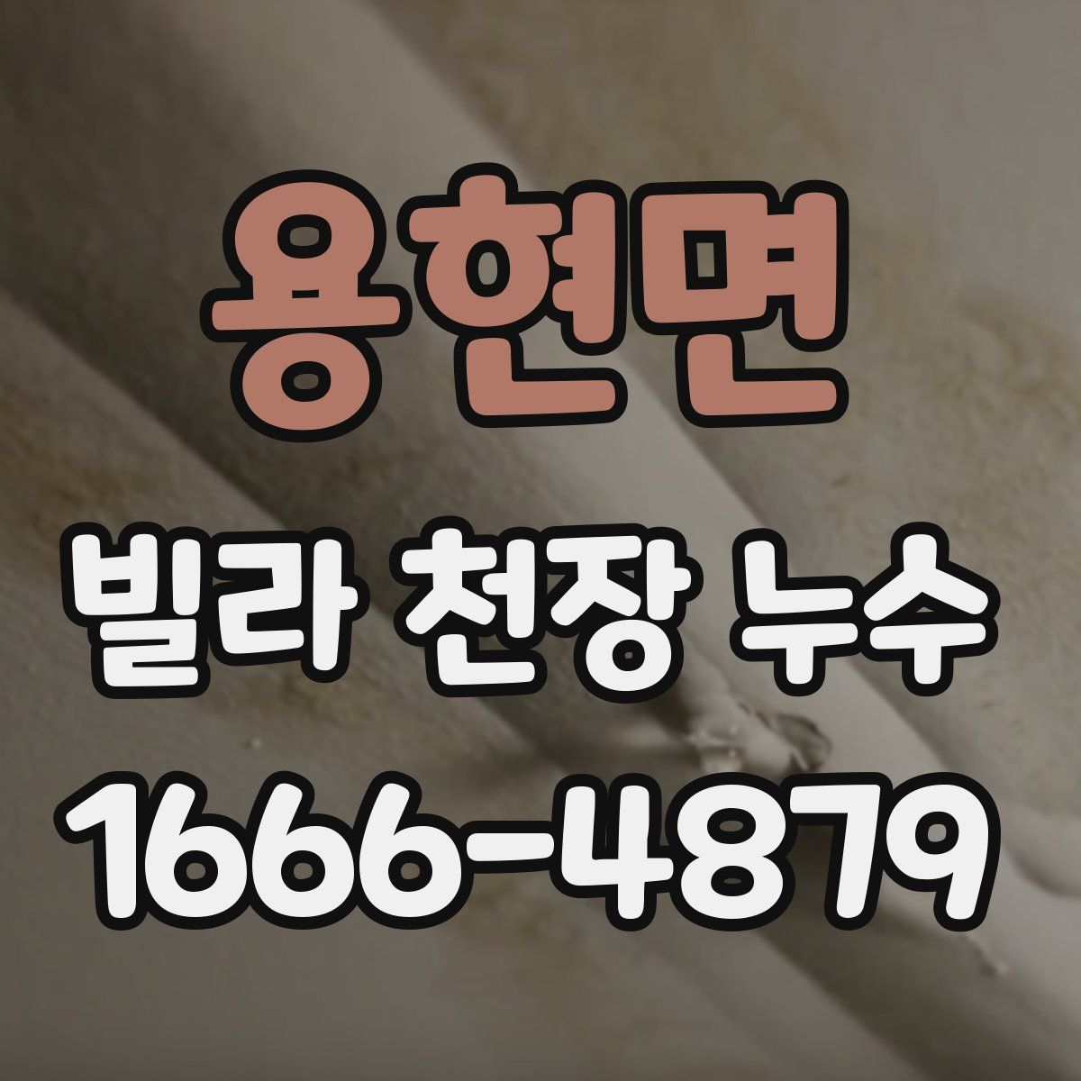 용현면 빌라 천장 누수