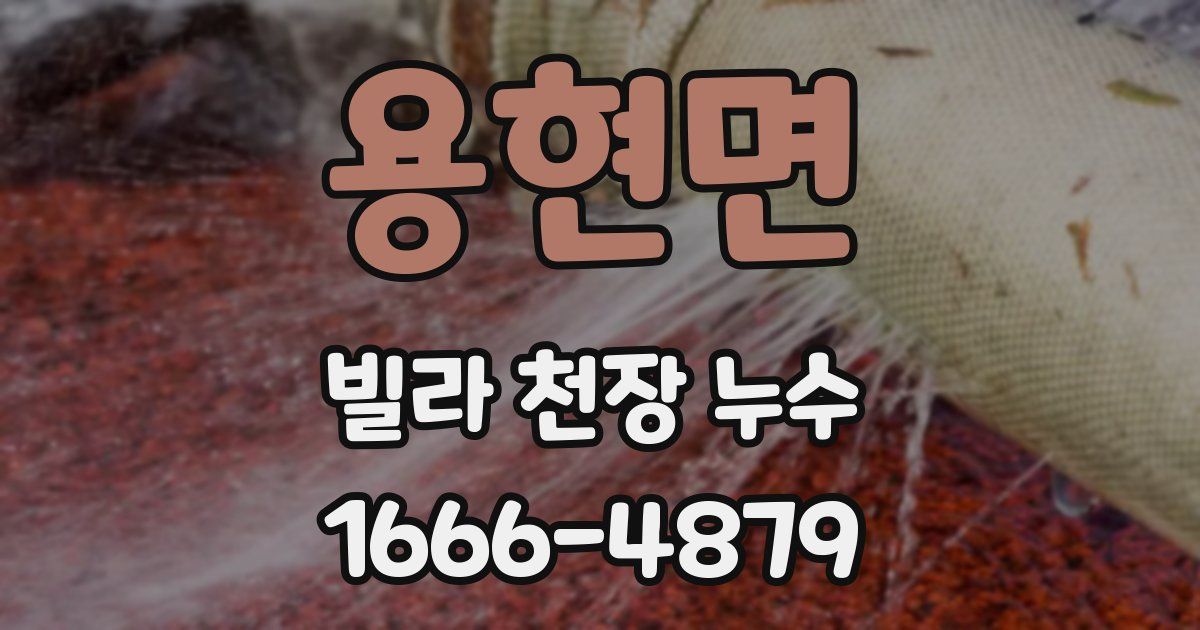 용현면 빌라 천장 누수