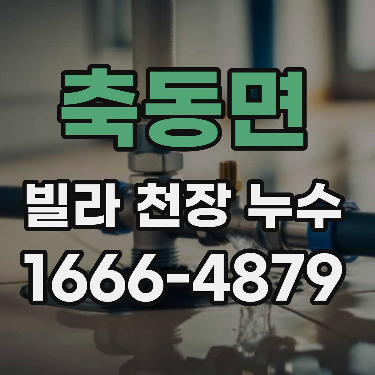 축동면 빌라 천장 누수