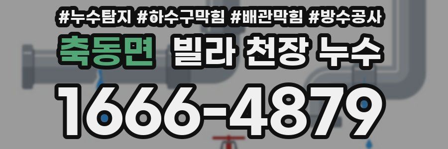 축동면 빌라 천장 누수
