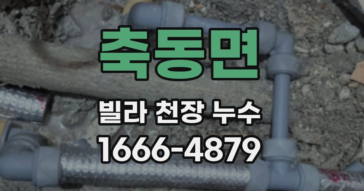 축동면 빌라 천장 누수