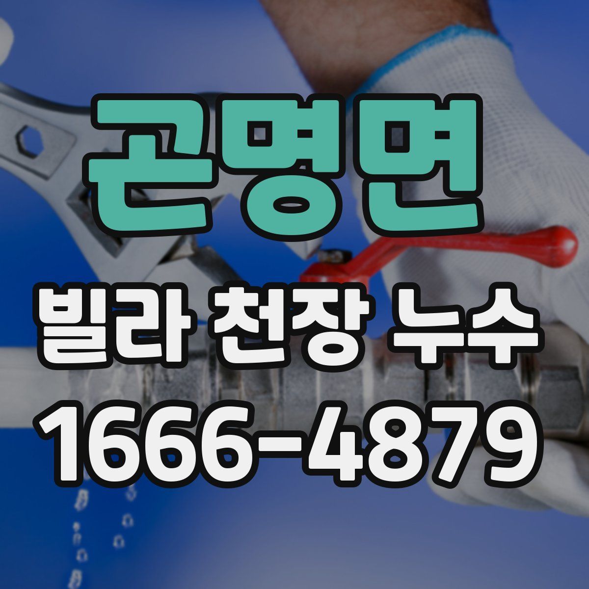 곤명면 빌라 천장 누수
