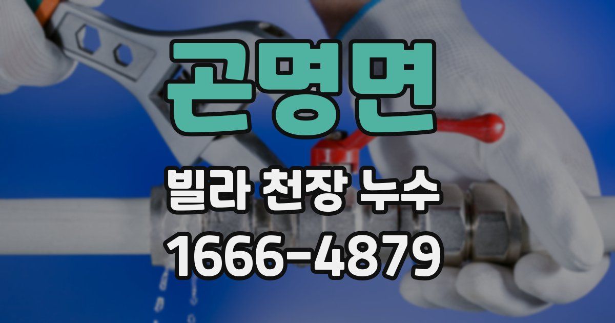 곤명면 빌라 천장 누수