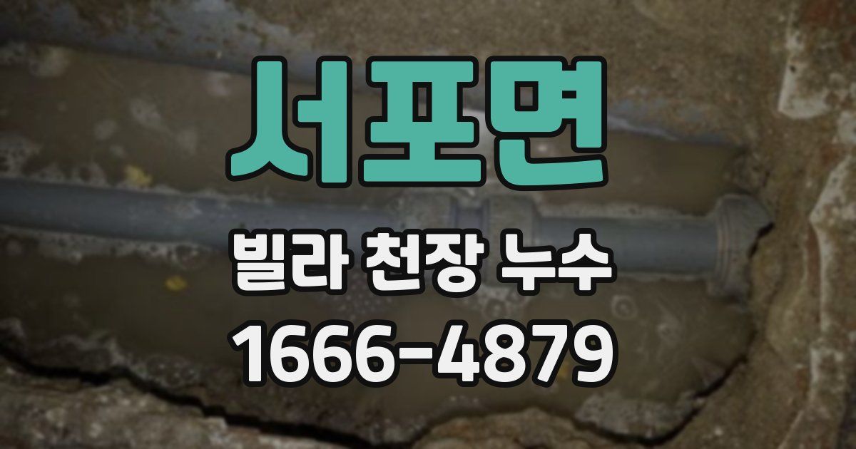 서포면 빌라 천장 누수