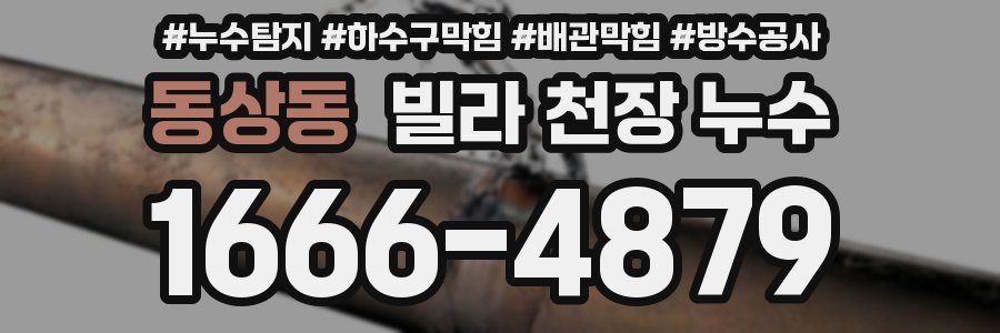 동상동 빌라 천장 누수