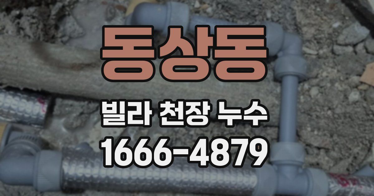 동상동 빌라 천장 누수