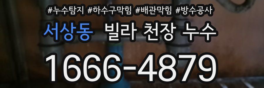 서상동 빌라 천장 누수
