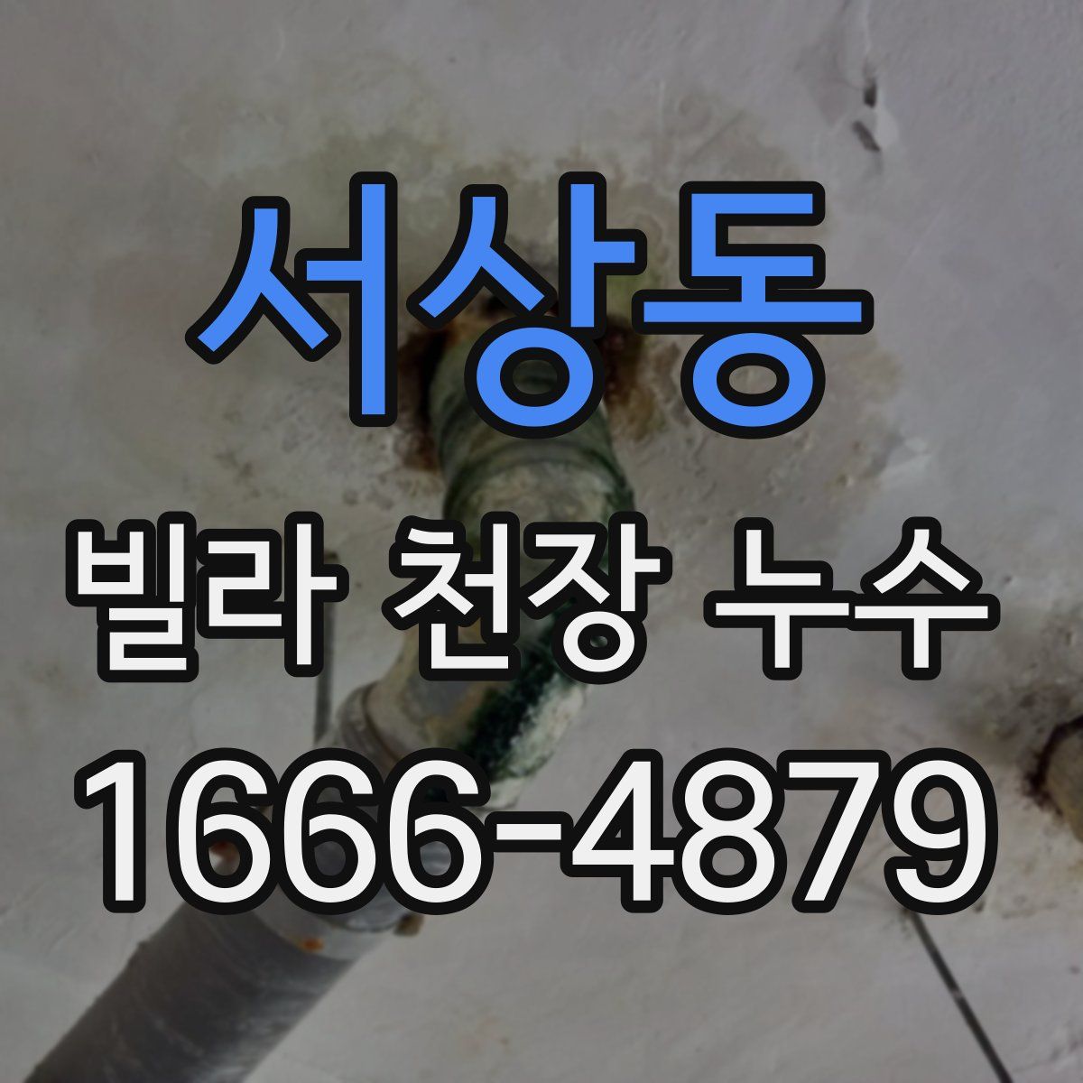 서상동 빌라 천장 누수