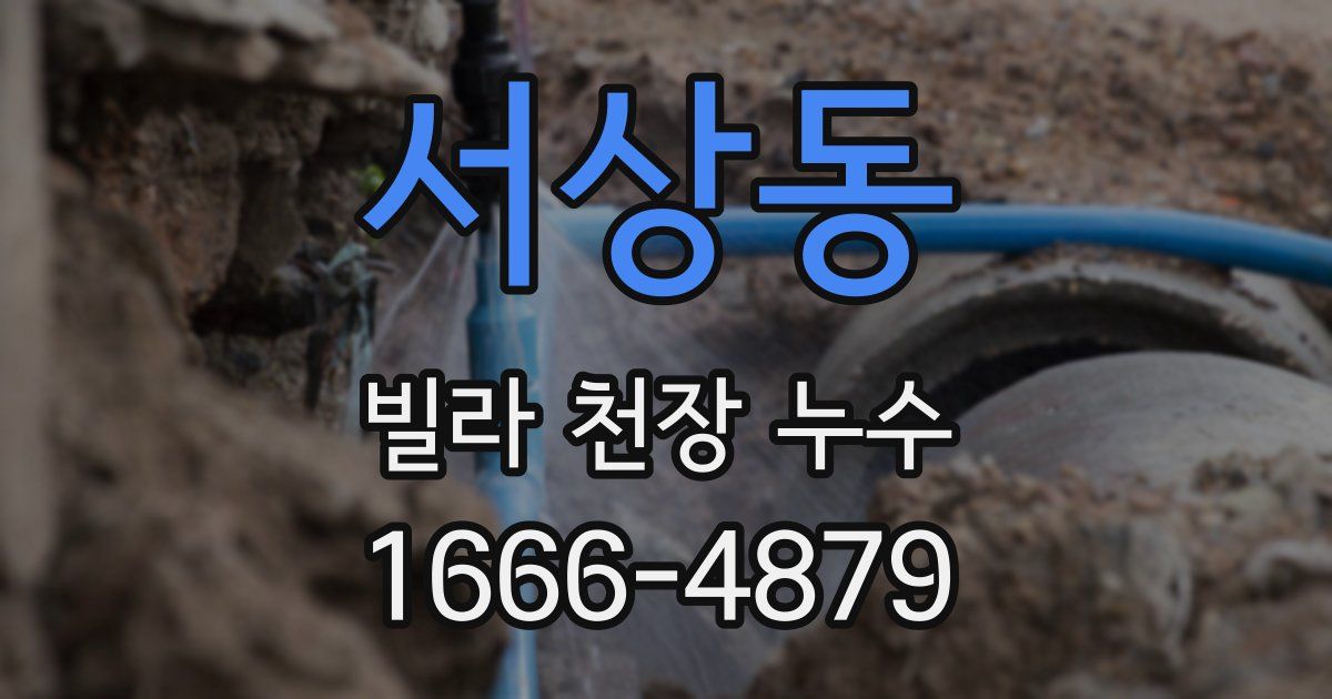 서상동 빌라 천장 누수