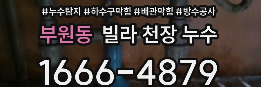 부원동 빌라 천장 누수