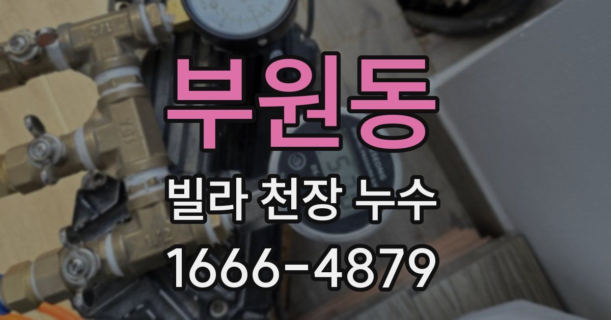부원동 빌라 천장 누수