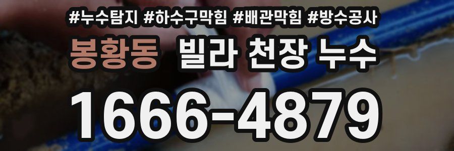 봉황동 빌라 천장 누수
