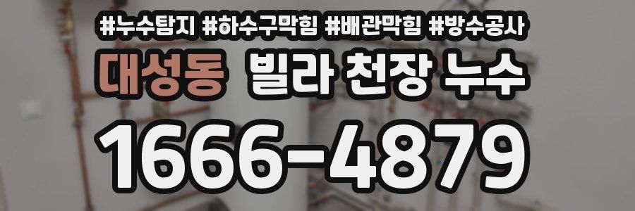 대성동 빌라 천장 누수